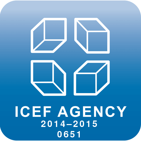 Компания AcademConsult в 2014 году успешно прошла проверку компанией ICEF